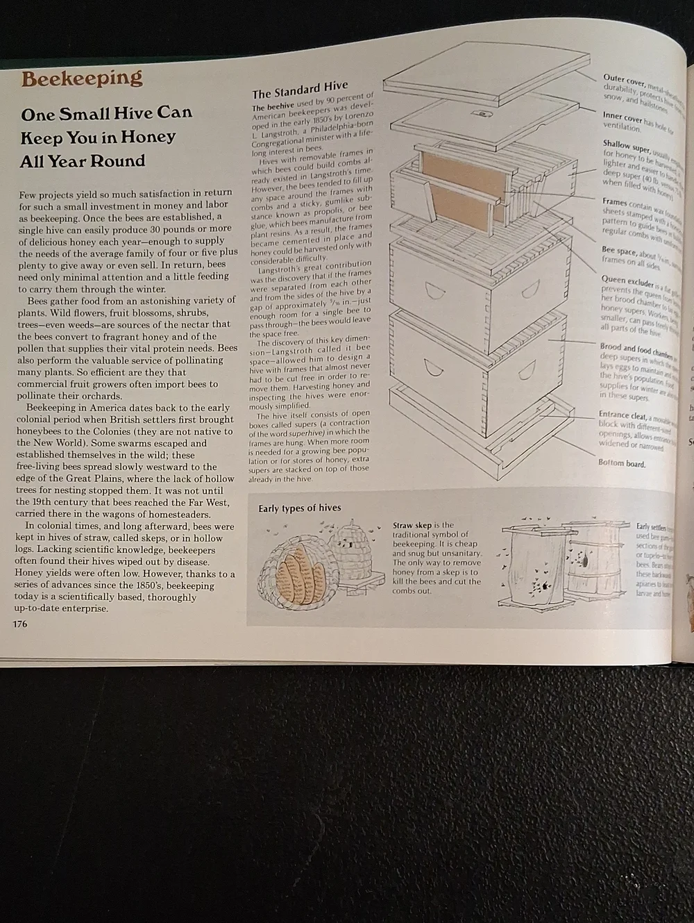 Back to Basics Readers Digest Learn Traditional American Skills Homesteading
